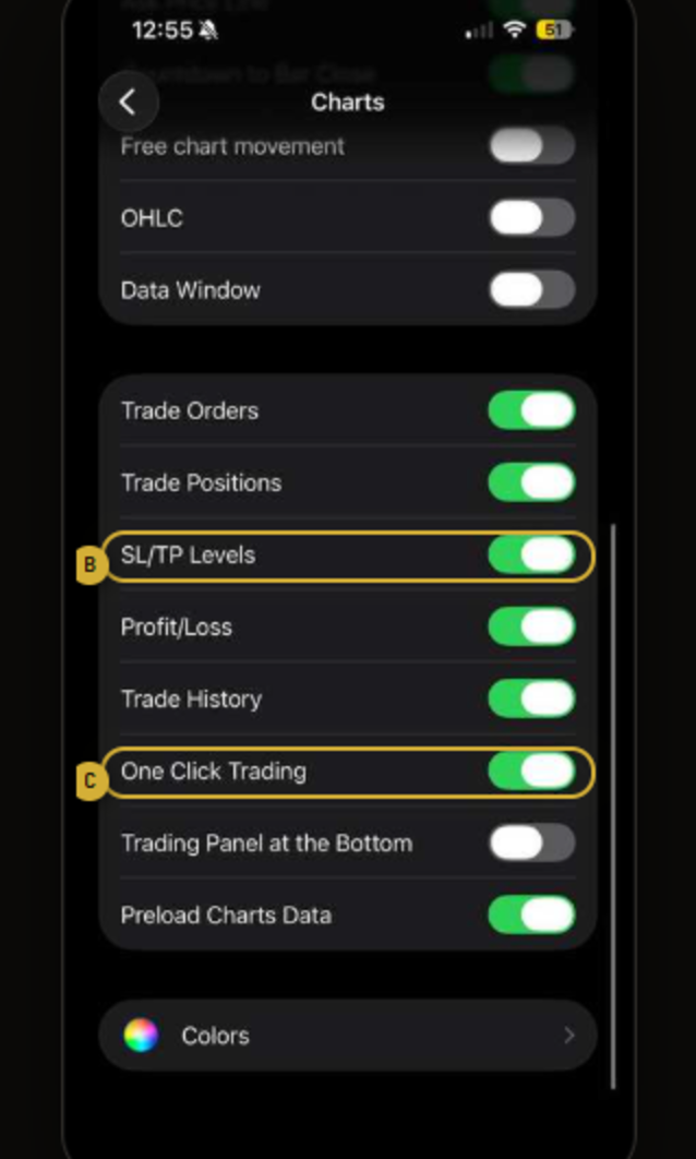 MT5 chart settings, lower part