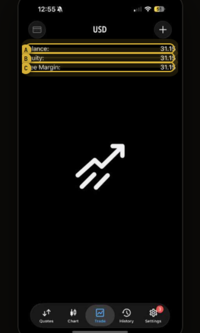 MT5 Trade tab with account numbers